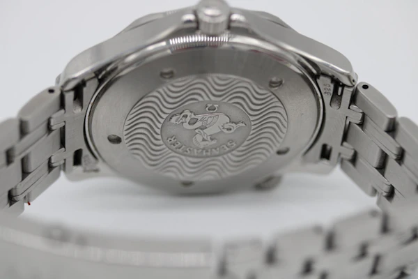 Omega Seamaster 300 25418000 - image 11