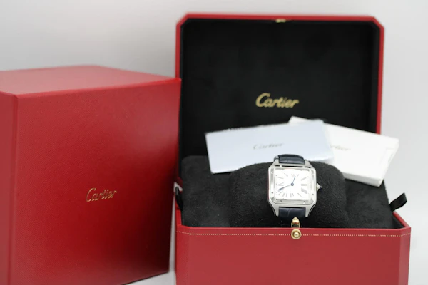 Cartier Santos Dumont WSSA0085 - image 2