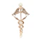 Cadeceus Brooch - Charlotte Sayers - image 2