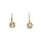 Austro-Hungarian Diamond Earrings - Charlotte Sayers - image 2