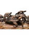 Japanese Okimono of turtles - image 4