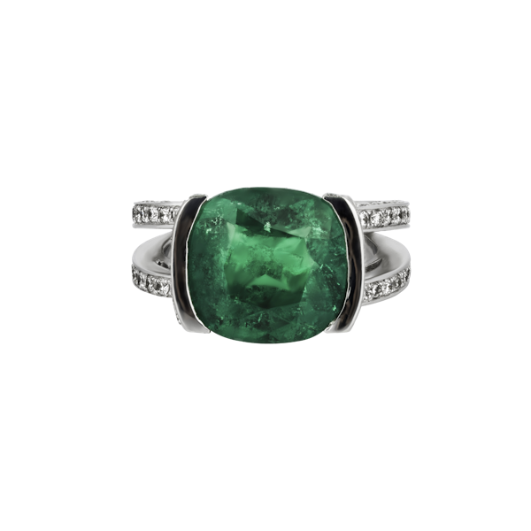Emerald & Diamond Rind - image 1
