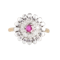 A Diamond, Ruby, Platinum and Gold ring - image 1