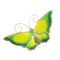A Green Yellow Butterfly by David Andersen - image 1
