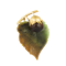 A Natural Nephrite Leaf Hazelnut Gold Brooch - image 1