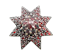 Antique Bohemian Garnet Star Brooch, Circa 1890 - image 1