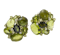 Tourmaline, Peridot And Diamond Earrings - image 1