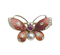 Butterfly Brooch - image 1
