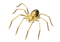 Spider brooch - image 1