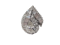 Vintage stylised diamond leaf ring SKU: 5459 DBGEMS - image 1