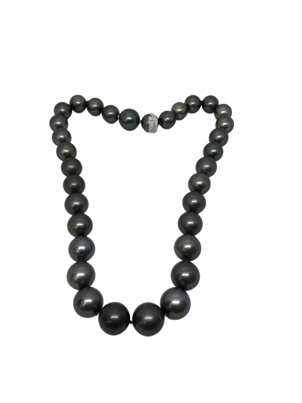 South sea Pearl necklace - image 1