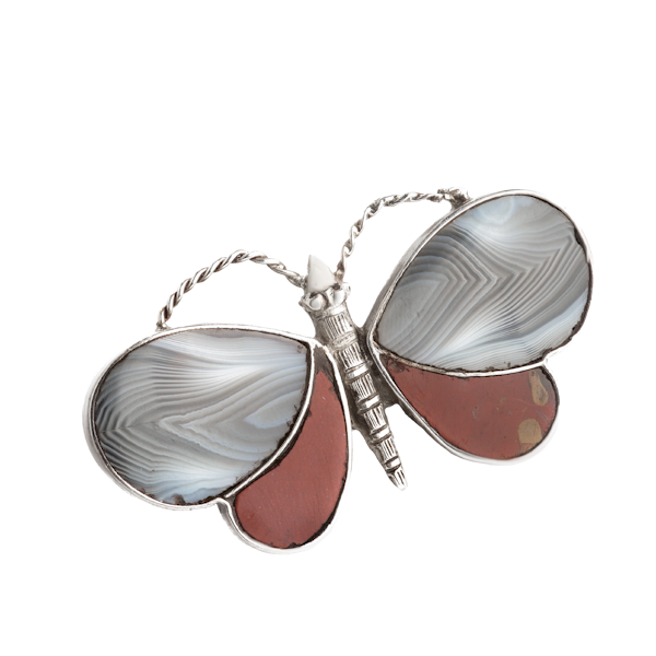 A Scottish Silver Butterfly - image 1