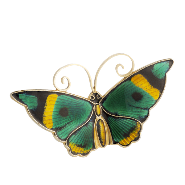 A Green Yellow Black Butterfly by David Andersen - image 1