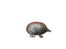A Silver Hedgehog Pin Cushion - image 1