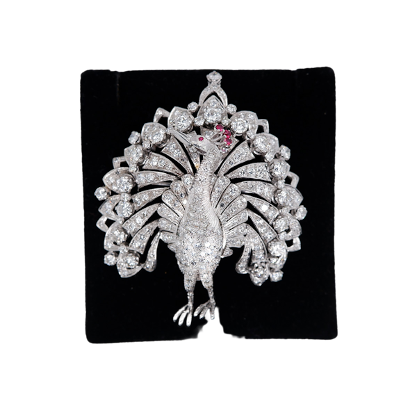 Diamond set large peacock brooch with ruby crest set in platinum - image 1