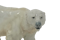 Meissen Polar bear - image 1