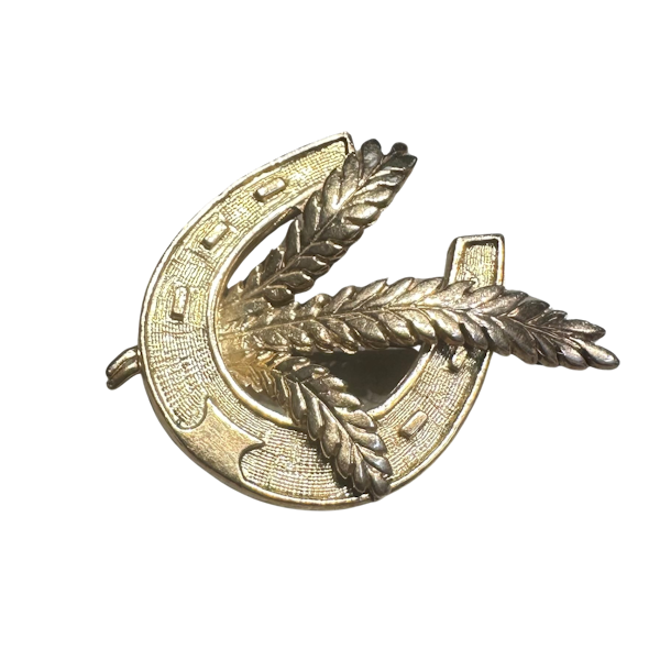 A stunning horseshoe & feather plume brooch - image 1