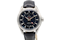 Omega Seamaster Aqua Terra 231.13.43.22.03.001 GMT - image 1