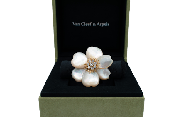 Van Cleef & Arpels 'Rose de Noel' Clip, Mother of Pearl Diamond Gold Brooch - image 1