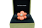 Van Cleef & Arpels Coral 'Rose de Noël' Clip-Brooch - image 1