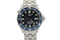 Omega Seamaster 300 25418000 - image 1
