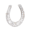 Belle Époque Platinum Diamond Horseshoe Brooch - image 1