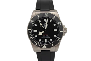 Tudor Pelagos 25407N