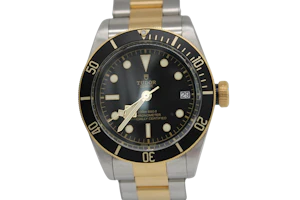 Tudor Black Bay S&G 79733N