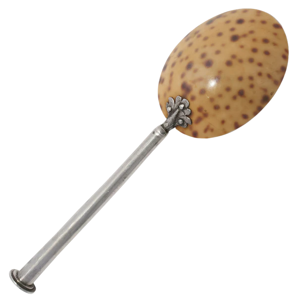 Late 16th / early 17th century German Spoon with a bowl formed of the segment of a large cowrie shell and silver-mounted handle. - image 1