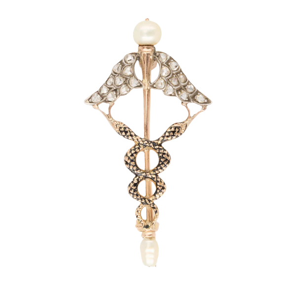 Cadeceus Brooch - Charlotte Sayers - image 1